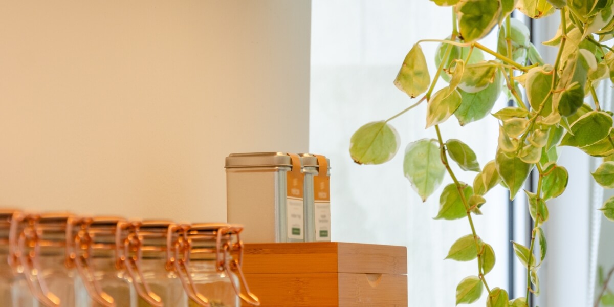 Interior Shelf with Spices, Box and Potted Plant