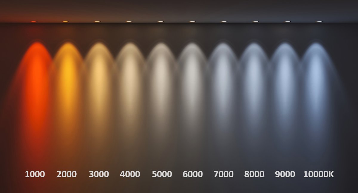 CCT spectrum labeled with warm, neutral, and cool light temperatures