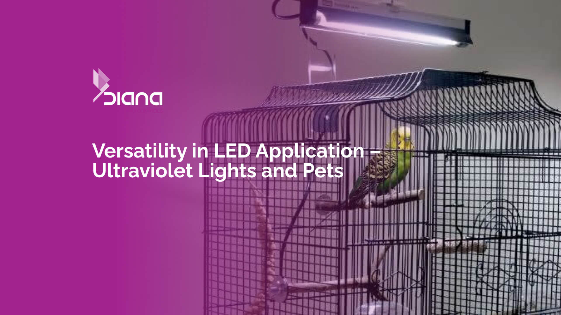 Ultraviolet LED lighting for plants and pets