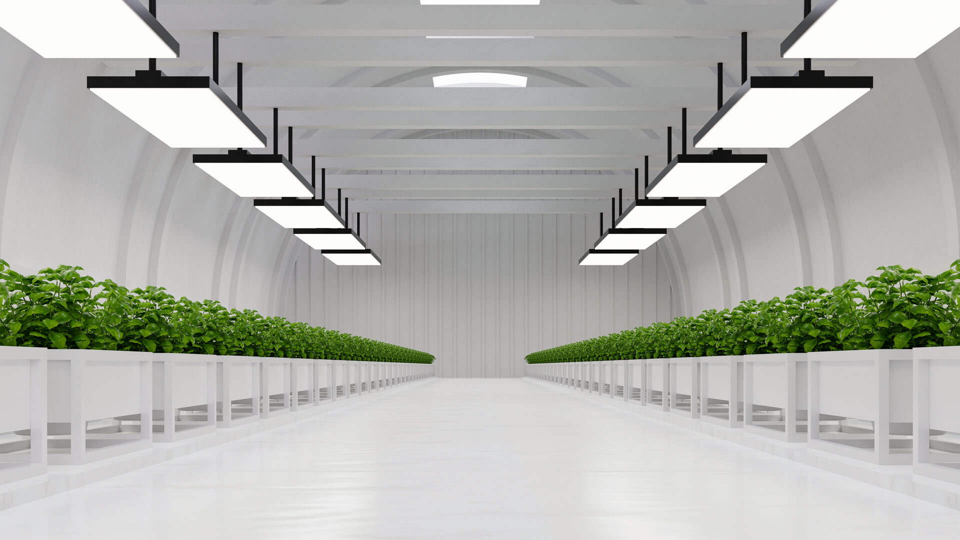Hydroponic vegetable plant factory in exhibition s for Diana Lighting